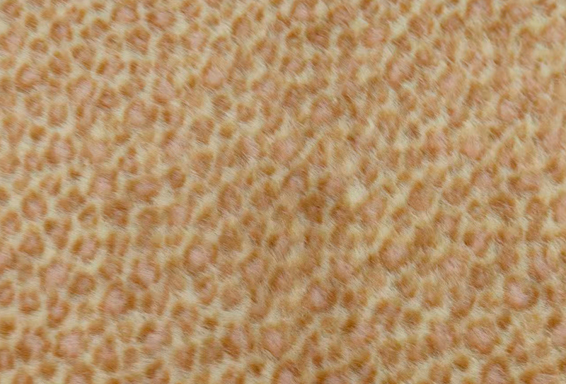 Leithead 160mm mionc Eorpach priontála liopard fabraic mionc faux Leithead 160mm mionc Eorpach priontála liopard fabraic mionc faux